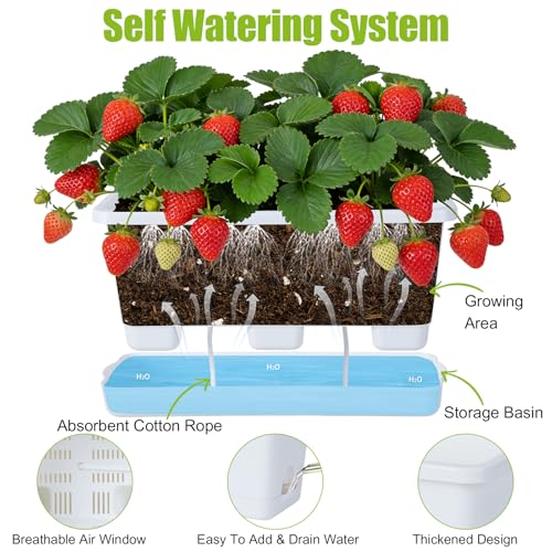 Oliz Window Box Planter 6 Packs, 13.8 Inches Rectangle Flower Pots with Drainage Holes & Trays, Pots for Vegetables, Herbs, Flowers, Garden Windowsill Balcony (White) - color: White