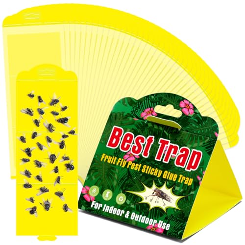 40 Piece Hanging Insect Fly Glue Trap, Sticky Traps with Attractant, Yellow Sticky Fly Strips Gnat Traps for Kitchen, Indoor Plants, Garden Adhesive Glue Boards