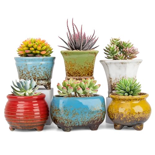 ARTKETTY Succulent Pots, Small Plant Pots with Drainage Set of 6 - color: Colorful-b
