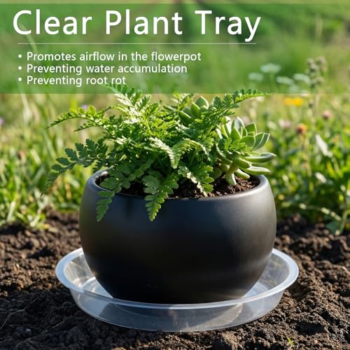 6Pack Plant Saucer, 3 5 7 9 11 13 15 17 19 21 in Plastic Plant Tray - size: 17 Inch