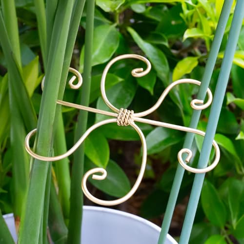 5PCS Monstera Plant Support Hooks - 6.5" Durable Metal Stabilizers - size: 6.5 x 6.5 inches