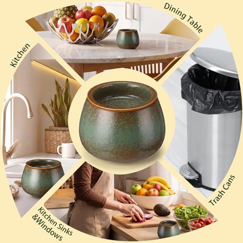 1 Pack Ceramic Fruit Fly Traps Reusable, Reactive Glaze, Patina Green - color: Patina Green, size: Reactive Glaze