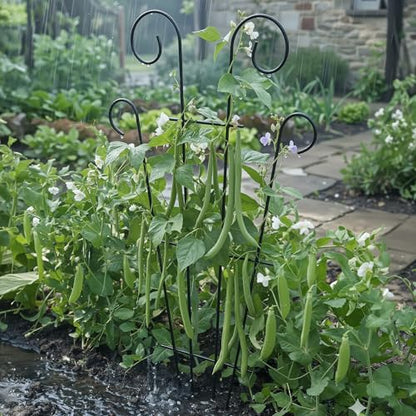 Thealyn 4 Pack 32 Inch Tall Metal Plant Trellis for Potted Plants - size: 32 inch