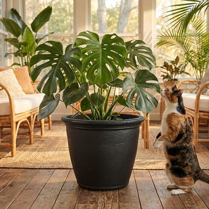 Sunnydaze Anjelica 20'' Large Plastic Planter Pot for Plants, Black - color: Matte Black, size: 20 in