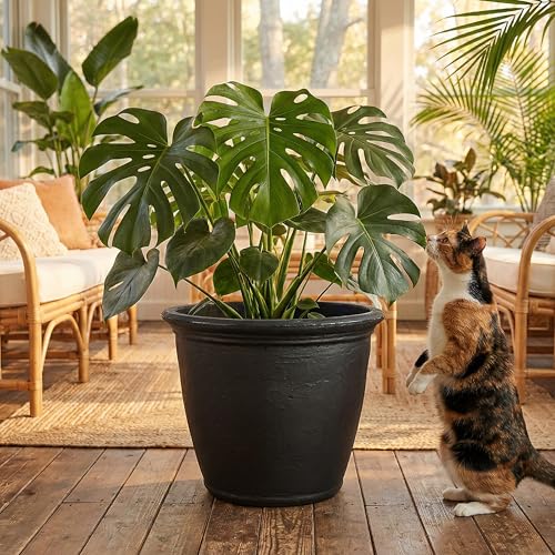 Sunnydaze Anjelica 20'' Large Plastic Planter Pot for Plants, Black - color: Matte Black, size: 20 in