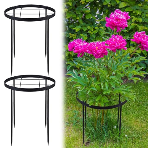 2 Pack 18.9" x 23.6" Large Peony Cage and Support