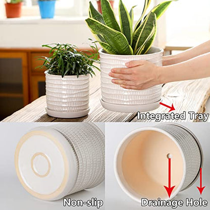 8 Inch Ceramic Planter with Drainage Hole & Bonded Saucer - color: Wave Embossed, size: 8 inch