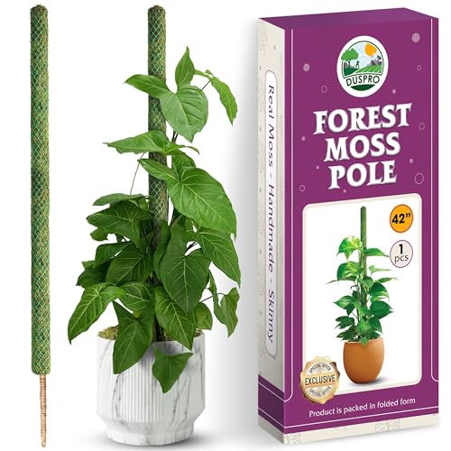 DUSPRO 42" Mesh Moss Pole for Climbing Plants, Pre-Made & Easy to Set Up - size: 42"