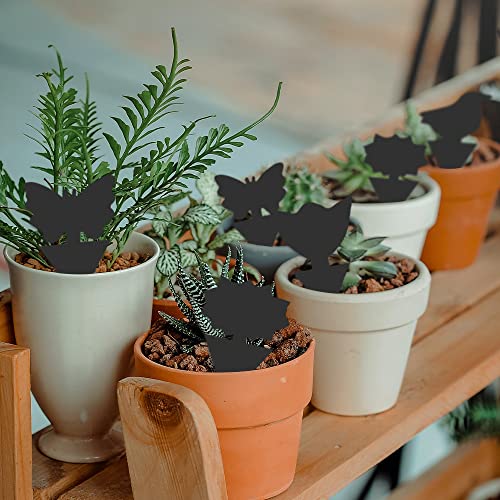 36 Pack Fungus Gnat Traps for House Plants, Sticky Traps for Indoor Outdoor Use to Get Rid of Whitefly Mosquitoes Fungus Gnats Thrips Leafminer Flying Insects Protect Your Plants (Black)
