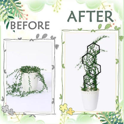 4 Pcs Plant Trellis Indoor Black Small Trellis for Potted Plants - style: Unique