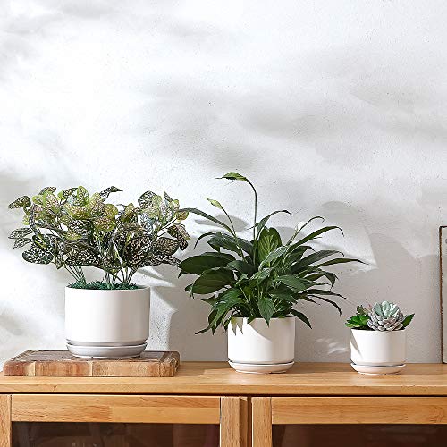 Yishang Succulent Plant Pots,6.7+5.3+4.1 in Glazed Ceramic Planters with Connected Saucers, Round Modern Ceramic Flower pots - Small to Large Sized Plant pots for All House Plants(Matte White) - color: White, size: 6.7+5.3+4.1 in