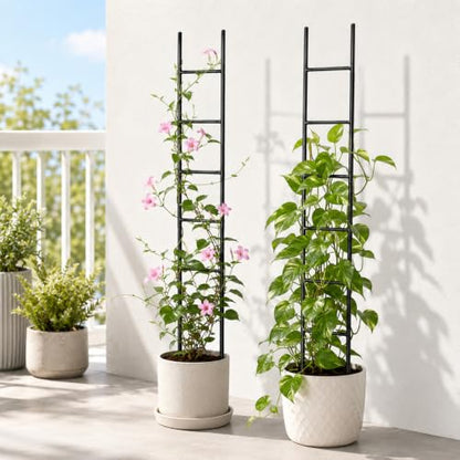 2PCS Indoor Plant Trellis, Sturdy Ladder Trellis for House Plant