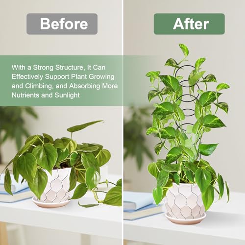 17.5 inch Small Trellis for Potted Plants, Metal Plant Trellis Indoor - color: Circular-Metal