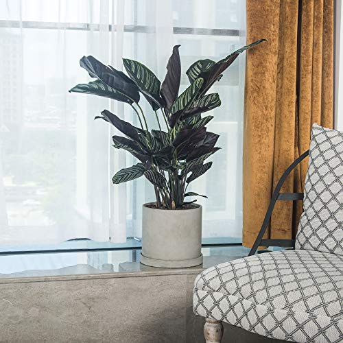 Ekirlin 9 Inch Flower Plant Pot Indoor - Grey Cement Garden Planter Concrete Planter with Drain Hole Saucer, Modern Succulents Containers for Home Decor, Office & Outdoor - size: 9 inch single