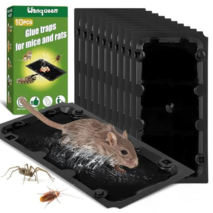 10 Pack Sticky Glue Mouse Trap Rat Trap Indoor for Home and Rats, Snake - size: 10Pack