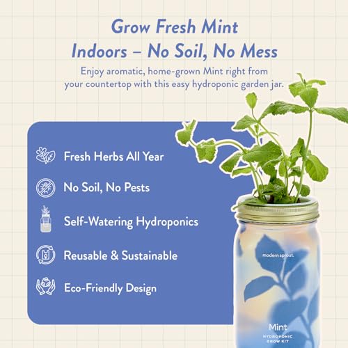 Modern Sprout Mason Garden Jar - Self-Watering Hydroponics Kit - Mint - color: Mint, size: Garden Jars