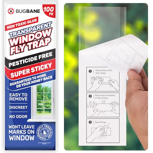 Window Fly Traps Sticky, Fly Paper Indoor for Home, Non-Toxic, 100-Pack - size: 100pk