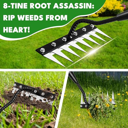 Iron Weeding Rake with Long Handle, 8-Tine Heavy Duty Garden Tool for Lawn - color: Black