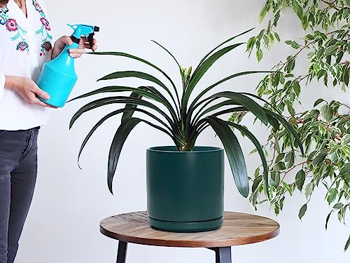 D'vine Dev 2-Pack Ceramic Pots with Saucers, 6/8 in, Teal, 94-G-M-9 - color: Teal, size: Medium