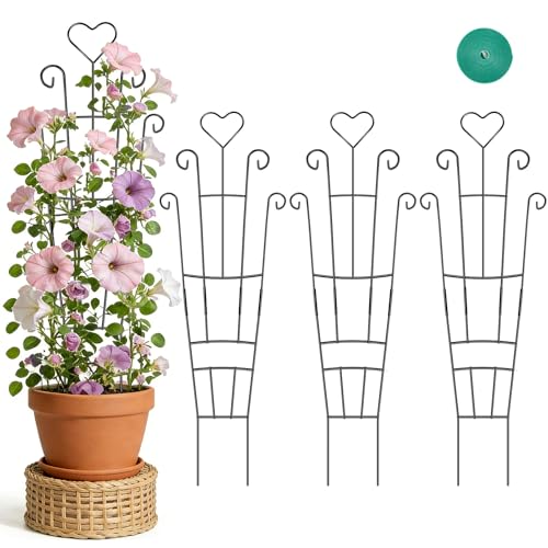 Trellis for Climbing Plants Indoor, 4 Pack 31'' Metal Plant Trellis Indoor for Potted Plants, Sturdy Plant Support Outdoor for Ivy Pothos Monstera Hoya Flower Vine, Heart Shape - size: 31'' Heart Shape