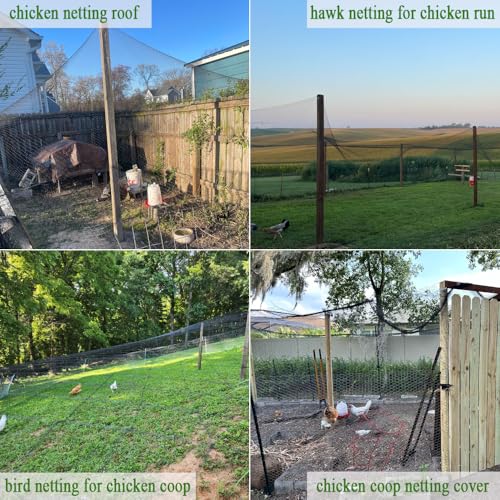 Bird Netting for Chicken Coop 50x50 Ft, 1" Mesh Aviary Netting - size: 50x50Ft-1"