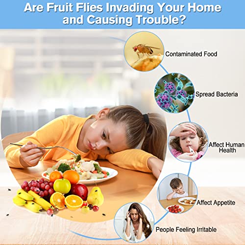 Fruit Fly Trap for Indoors,2025 Upgrade Fruit Flies Gnat Killer with Yellow Sticky Fruit Fly Traps,Safe and Non-Toxic Fruit Flies Traps,Odorless Fly Insect Trap for Home,Kitchen,Plants (Red,2 Pack) - size: 2 pcs