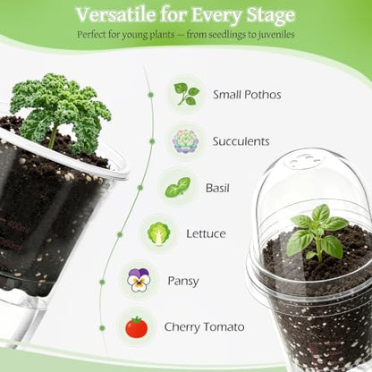30 Pack 4" Self Watering Propagation Pots, Seed Starter Cups with Dome - size: 4 Inches