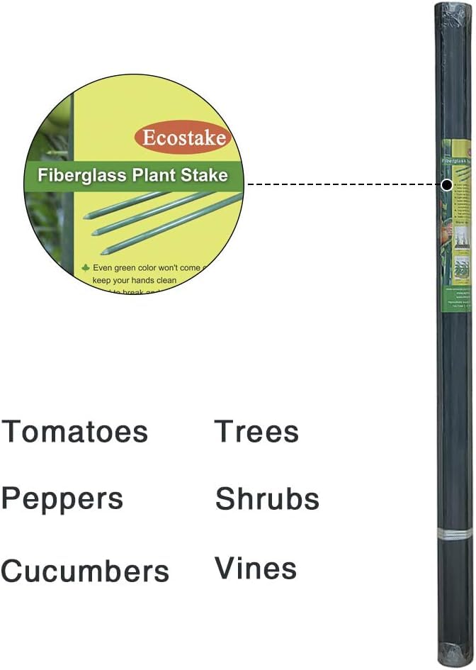 6ft Garden Stakes for Climbing Plants Supports, 20 Pack Solid Fiberglass Plant Sticks, Rust-Free Fence Posts, 5/16'' Diameter, 72inch Dark Green