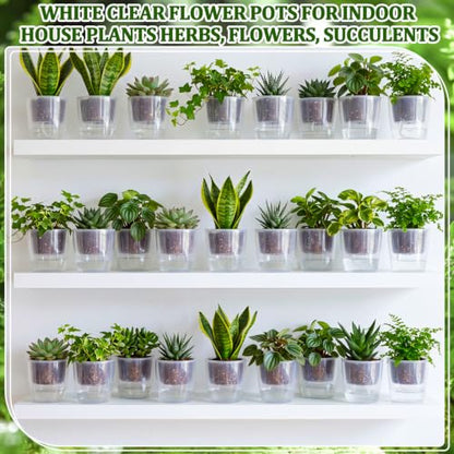 Self Watering Plant Pots, 3.5'', Transparent, 72 Pcs - color: Transparent, size: 3.5''