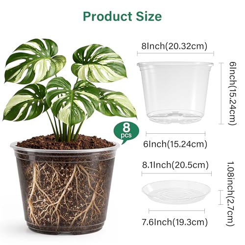 Bluepro Clear Nursery Pots with Saucers, 8 Inch, 8-Pack - size: 8 Inch-8Pcs