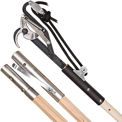 Corona Professional Pole Pruner and Saw Combo with Two 6ft Wood Poles