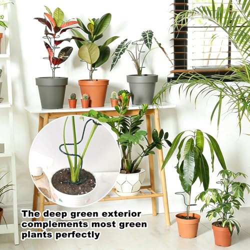 Indoor Plant Trellis Support, 4PCS Durable Metal in & Outdoor Trellis for Climbing Plants 15.7 Inch Metal Garden Stakes Plant Stem Holder Support for Potted Plants, Monstera, Flowers & Herbs (4PCS)