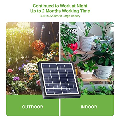 Lewisia 2W Solar Automatic Drip Irrigation Kit with Timer Auto Watering System Solar Powered Auto-Irrigation Set for Garden Beds Patio Lawn Plants Greenhouse Flower 50FT for 15 Plants