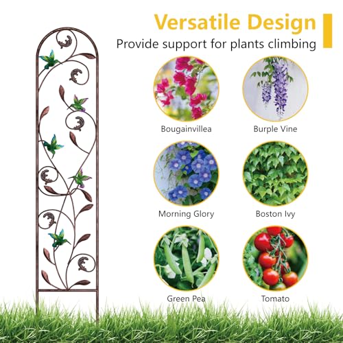 aboxoo 4-Pack Hummingbird Metal Garden Trellis for Climbing Plants - color: Hummingbird, size: 4pcs