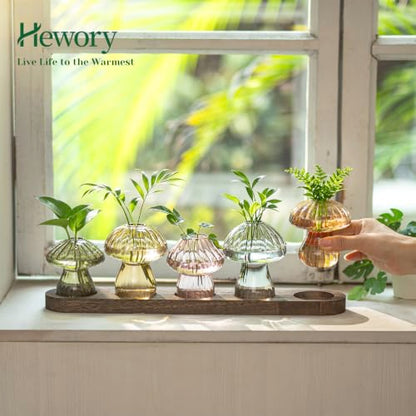 Hewory Plant Propagation Stations: 5PCS Amber Mushroom Vase with Wood Tray - color: Amber, size: 5