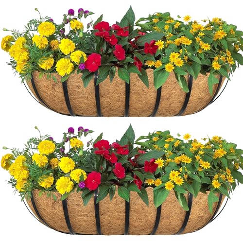 2pack 24-inch Window Sill Window Railing Planters with Cocoa Liner for Outdoor Balconies, Porches, Fences, Patio Railings - size: 24 inch