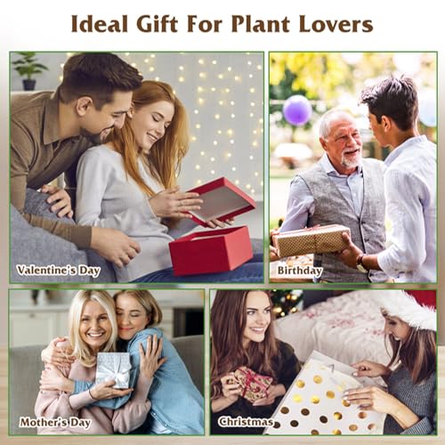 KOCASO Plant Propagation Station, Plant Terrarium with 3 Heart Shaped Vases & Wooden Stand, Desktop Glass Vase for Hydroponic Plants, Home Office Garden Decor Planter Gift for Plant Lovers