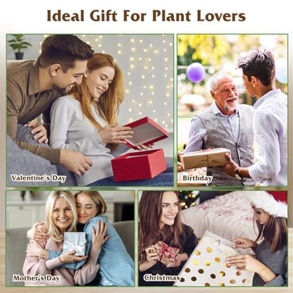 KOCASO Plant Propagation Station, Plant Terrarium with 3 Heart Shaped Vases & Wooden Stand, Desktop Glass Vase for Hydroponic Plants, Home Office Garden Decor Planter Gift for Plant Lovers