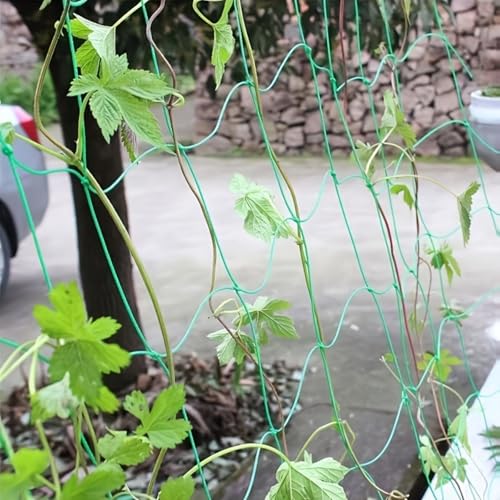 Plant Climbing Net Heavy-Duty Nylon Plant Climbing Net - Portable Flower Vine Climbing Frame for Garden, Vegetable & Flower Plants - Breathable Mesh Design Prevents Damage & Allows Growth