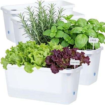 Oliz Window Box Planter 4 Packs, 14 Inches Rectangle Flower Pots with Breathable Drainage Holes, Pots for Vegetables, Herbs, Flowers, Garden Windowsill Balcony (Translucent White) - color: Translucent White