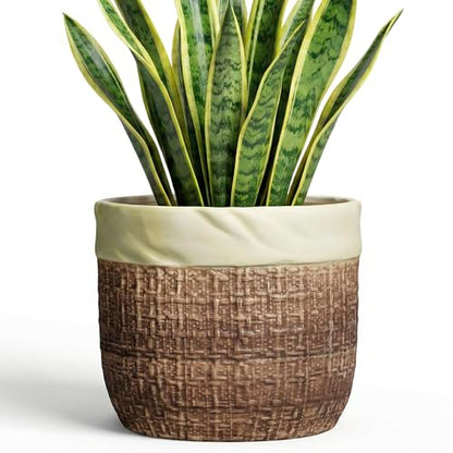 Ceramic Pots for Plants, 8 Inch Plant Pot, Round Planters, Brown - color: Brown, size: 8 Inch
