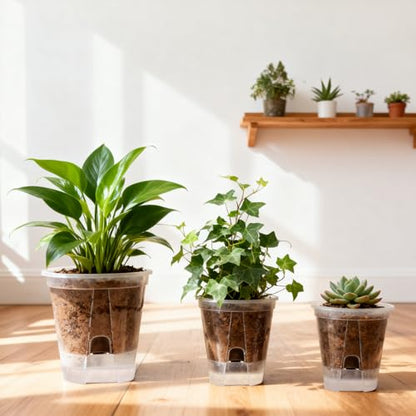 yarlung 6 Pack Self Watering Pots for Indoor Plants with Reservoir Tray and Holes, Clear Plastic Self Watering Planters for Outdoor Plants Flowers, Round 4.75" 6" 7"
