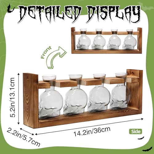 Plant Propagation Stations Halloween Skull Plant Terrarium Kit - color: Gray