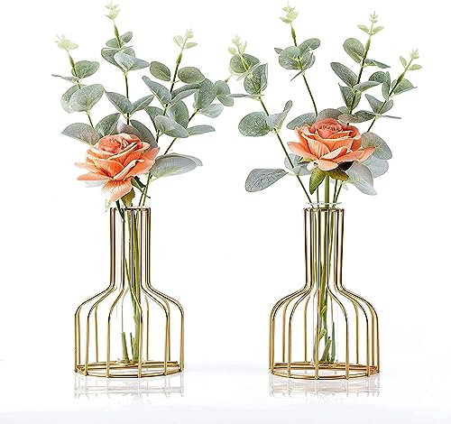 2 Pack IvyMei Luxurious Nordic Gold Table Vase Metal Frame Glass Tube - color: Gold 8