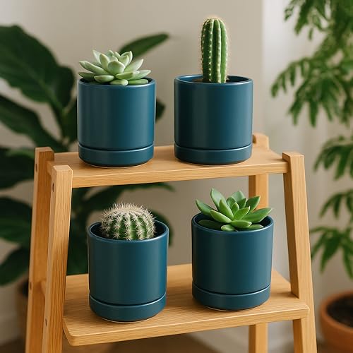 D'vine Dev 2-Pack Ceramic Pots with Saucers, Teal, 4.7 in, 94-V-B-9 - color: Teal, size: 4.7 Inch