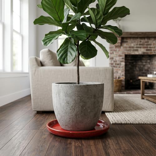 11.4 Inch Ceramic Plant Saucer, Rainforest Red - color: Rainforest Red