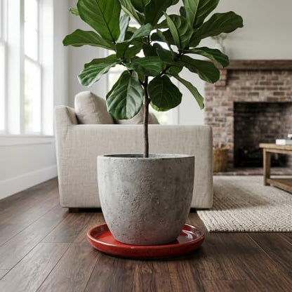 11.4 Inch Ceramic Plant Saucer, Rainforest Red - color: Rainforest Red