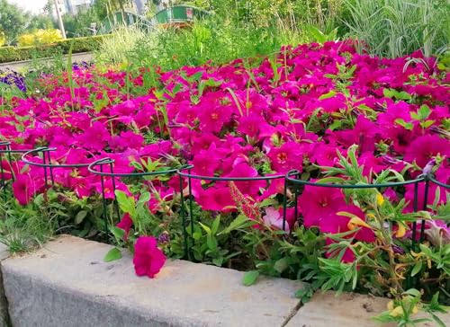 12 Pack 13.8 Inch High Plant Stake,Garden Plant Support,Half-Round Peony Cage Plant Ring Hoop - size: 7.9x13.8Inch-12Pack