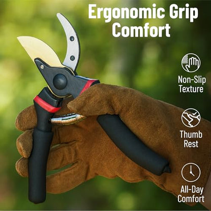 Mr. Pen- Pruning Shears, Garden Shears, 8" Professional, Titanium Blade