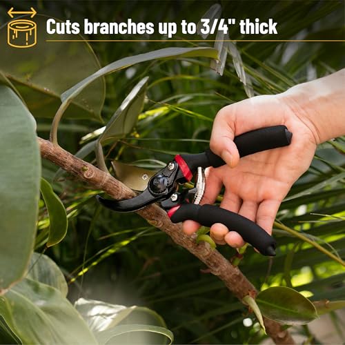 Mr. Pen- Pruning Shears, Garden Shears, 8" Professional, Titanium Blade